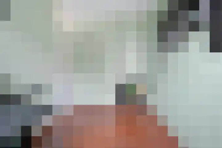 Sloetmarke 15 Zwolle thumbnail 30