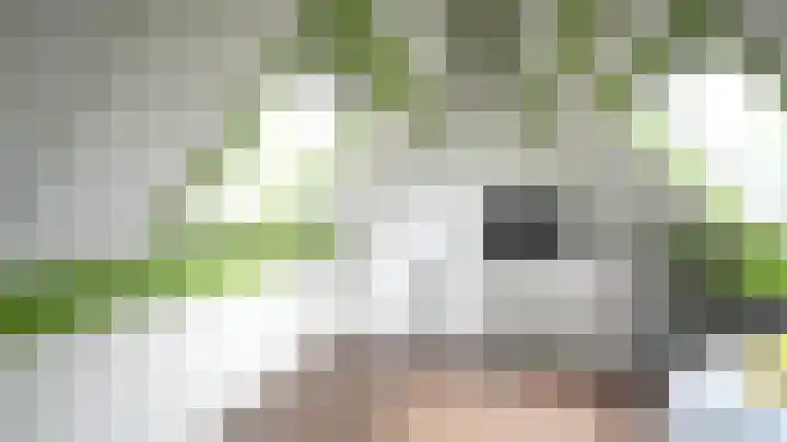 Sloetmarke 15 Zwolle thumbnail 33