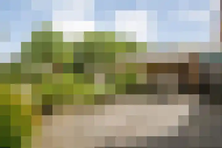 Sloetmarke 15 Zwolle thumbnail 35