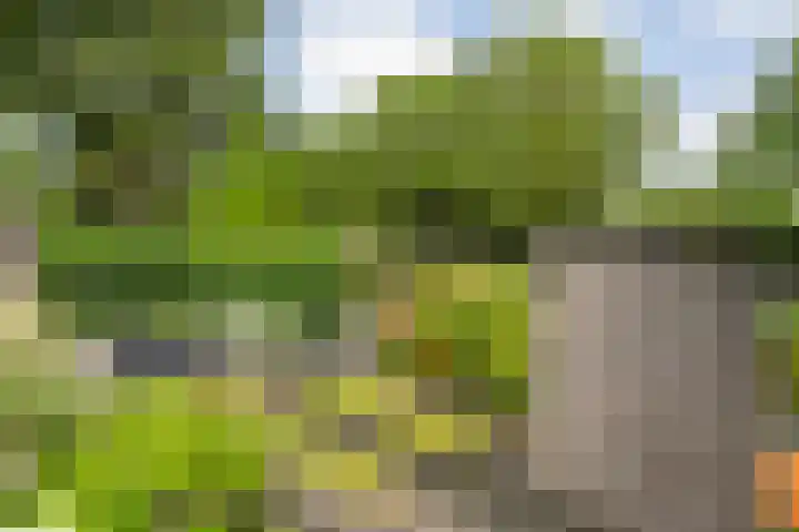 Sloetmarke 15 Zwolle thumbnail 38