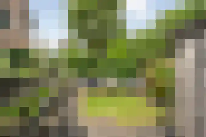Sloetmarke 15 Zwolle thumbnail 39