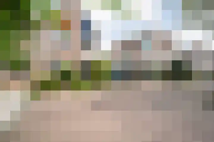 Sloetmarke 15 Zwolle thumbnail 4