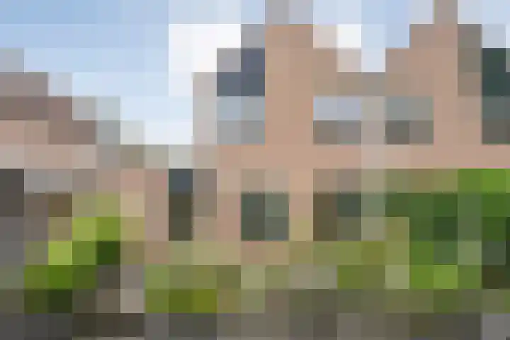 Sloetmarke 15 Zwolle thumbnail 40