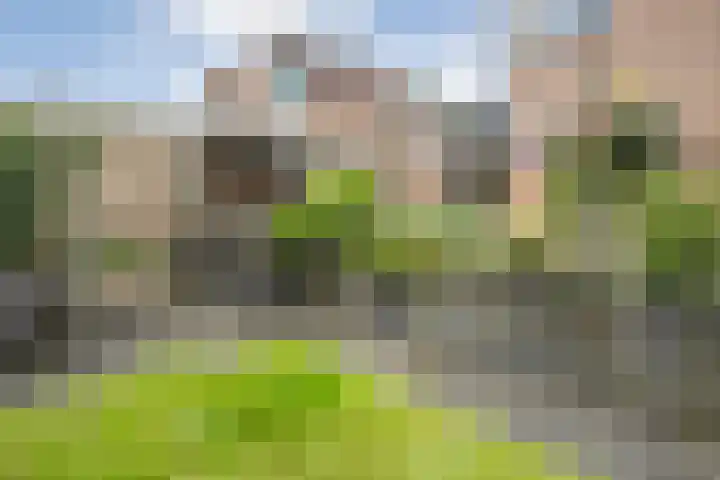 Sloetmarke 15 Zwolle thumbnail 41
