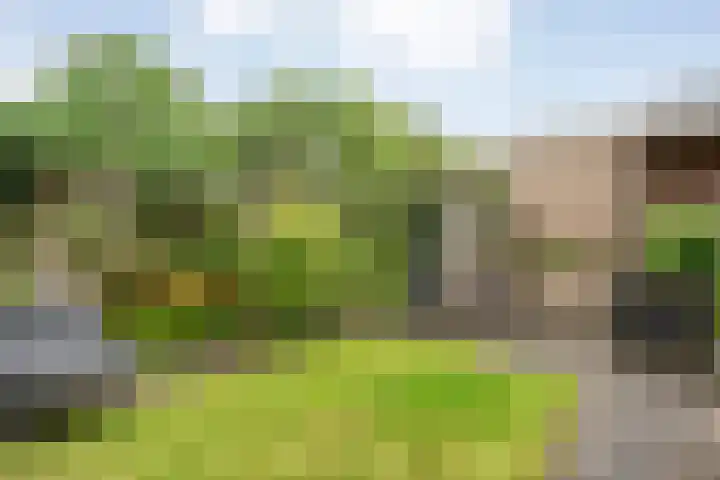 Sloetmarke 15 Zwolle thumbnail 42