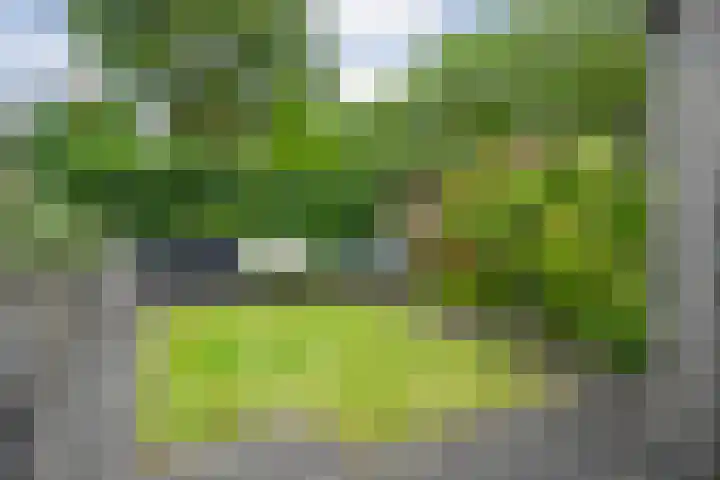 Sloetmarke 15 Zwolle thumbnail 43