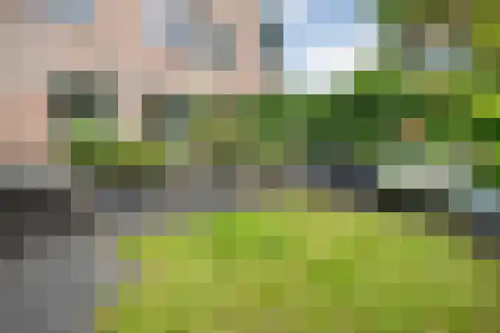 Sloetmarke 15 Zwolle thumbnail 44