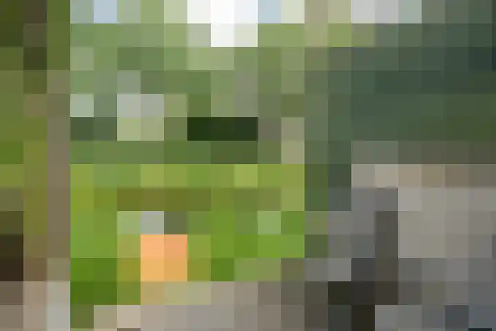 Sloetmarke 15 Zwolle thumbnail 45