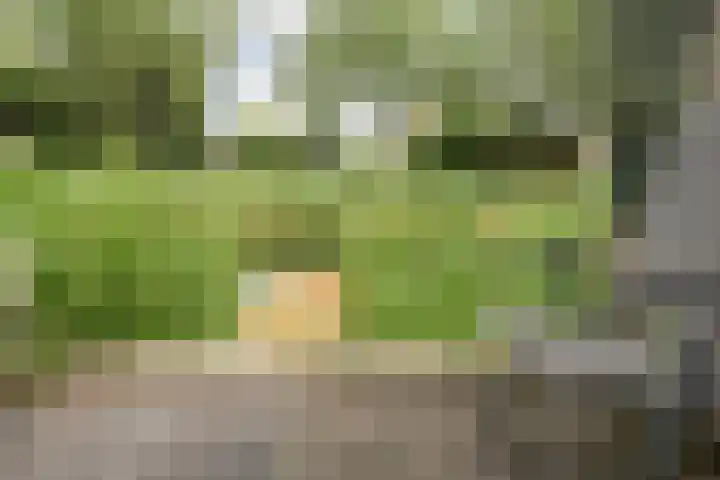 Sloetmarke 15 Zwolle thumbnail 46