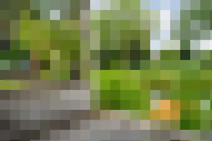 Sloetmarke 15 Zwolle thumbnail 47