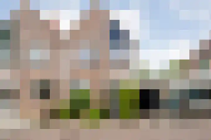 Sloetmarke 15 Zwolle thumbnail 50