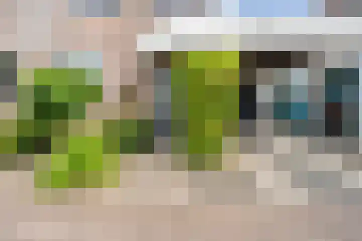 Sloetmarke 15 Zwolle thumbnail 51