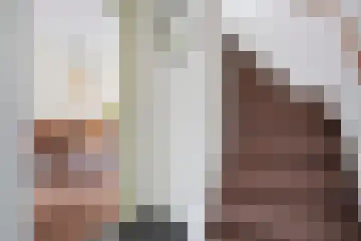 Sloetmarke 15 Zwolle thumbnail 6