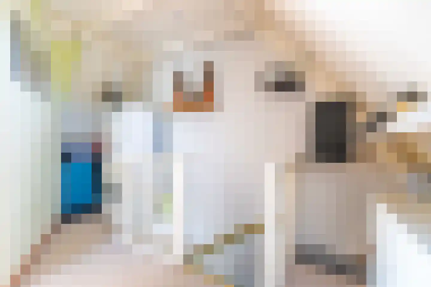 Sloetmarke 45 Zwolle thumbnail 33