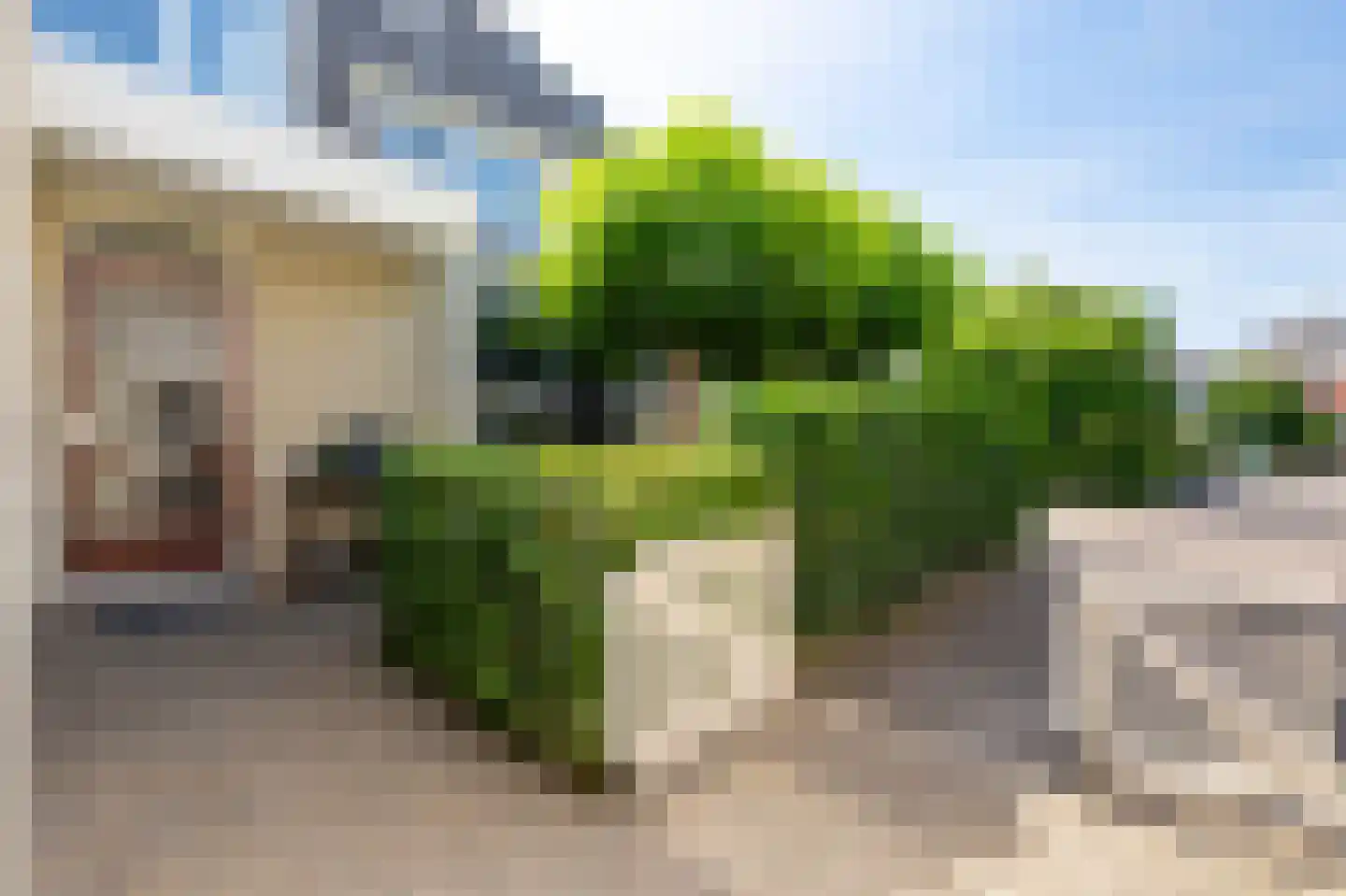 Sloetmarke 45 Zwolle thumbnail 4
