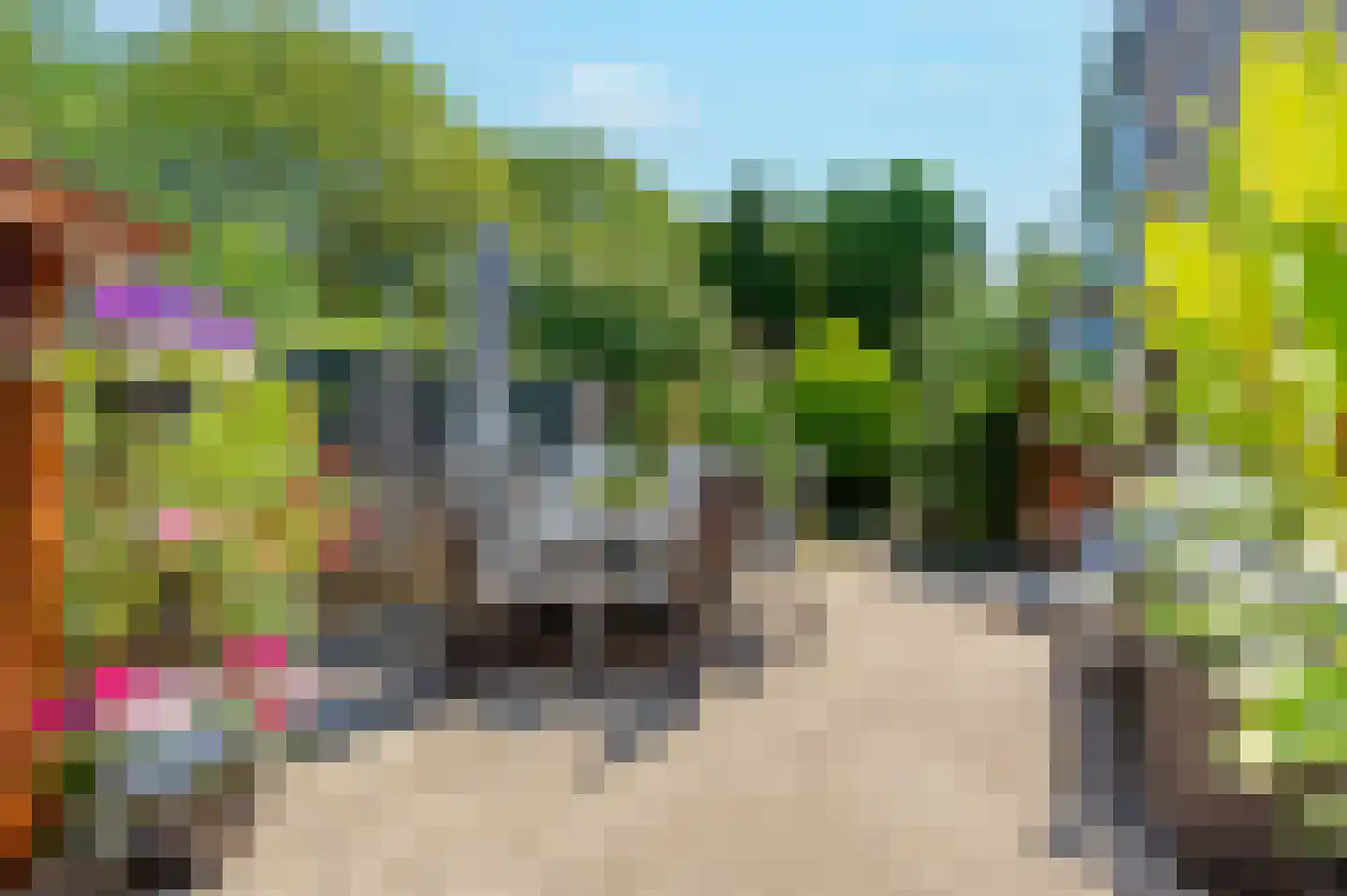 Sloetmarke 45 Zwolle thumbnail 40