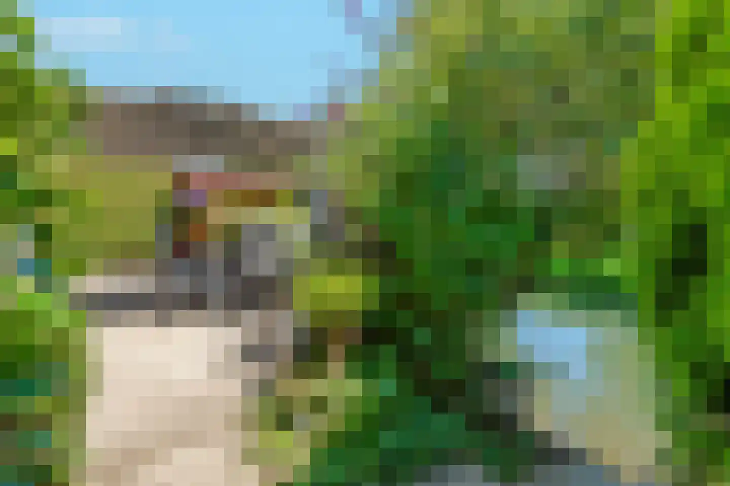 Sloetmarke 45 Zwolle thumbnail 43