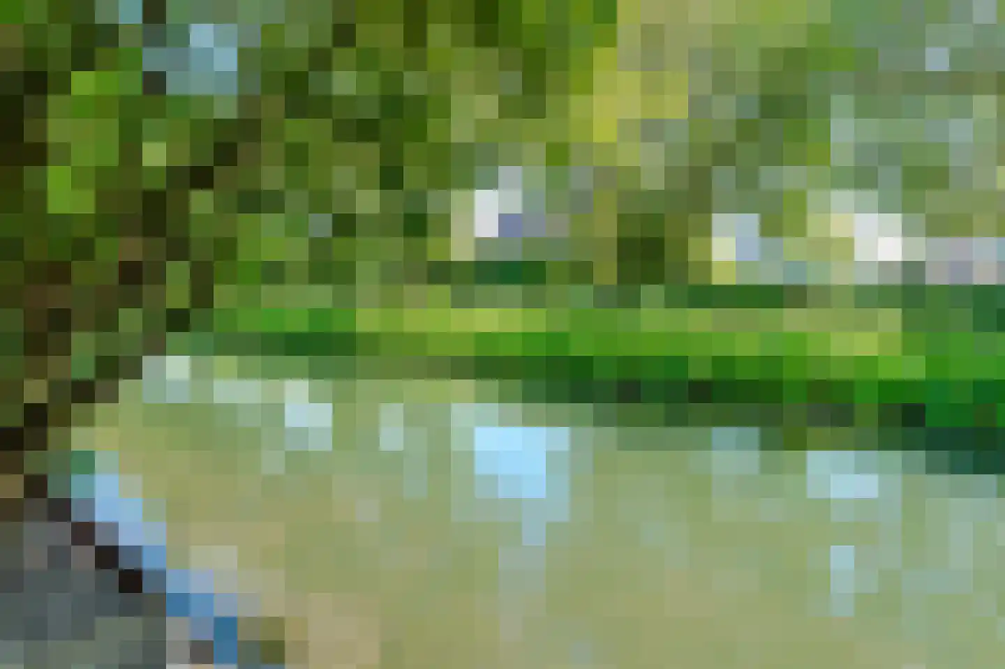 Sloetmarke 45 Zwolle thumbnail 44
