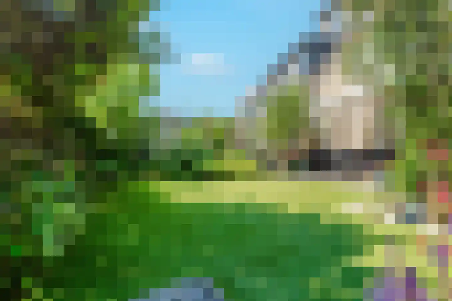 Sloetmarke 45 Zwolle thumbnail 48