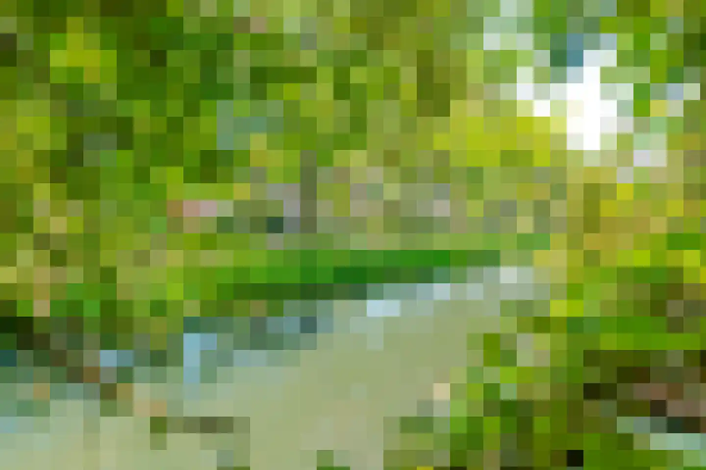 Sloetmarke 45 Zwolle thumbnail 53