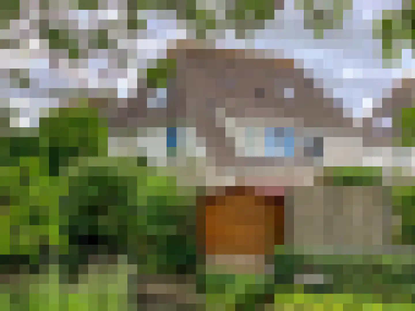 Sloetmarke 45 Zwolle thumbnail 55