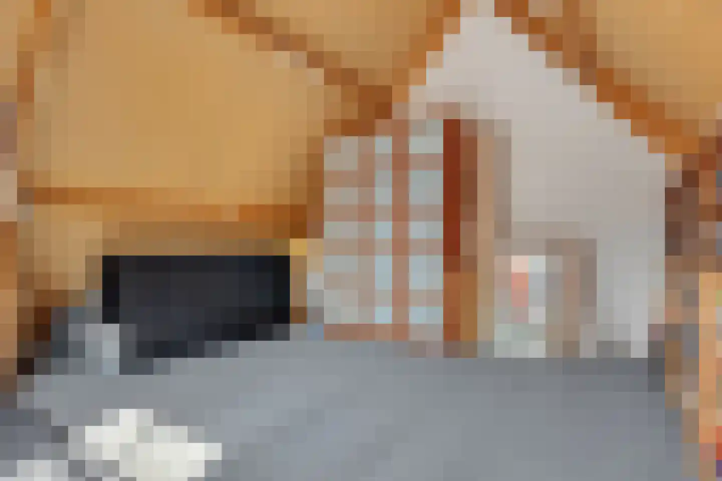 Sloetmarke 71 Zwolle thumbnail 25