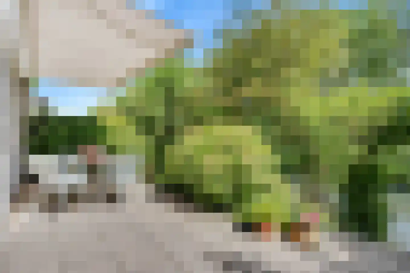 Sloetmarke 71 Zwolle thumbnail 27