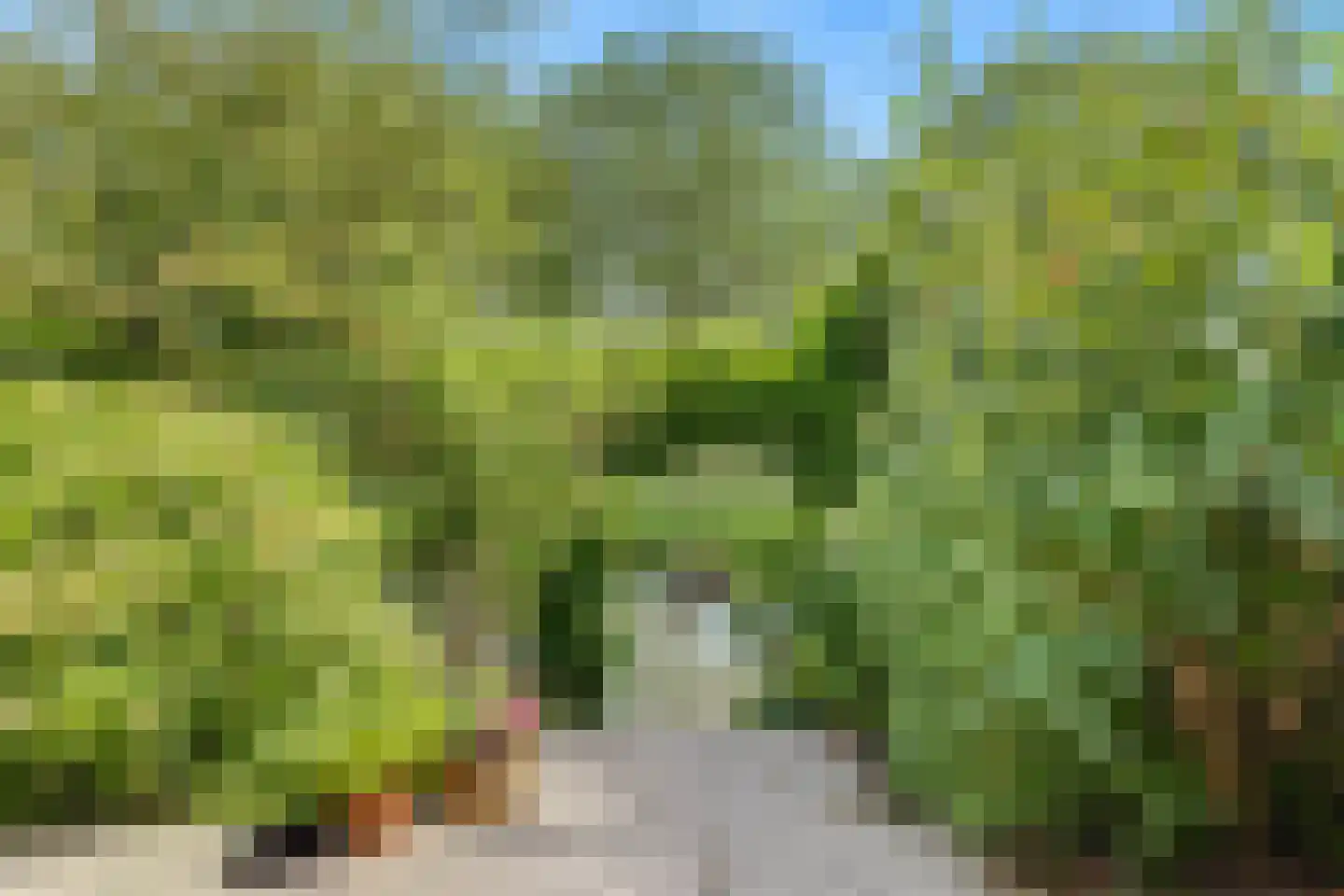 Sloetmarke 71 Zwolle thumbnail 28