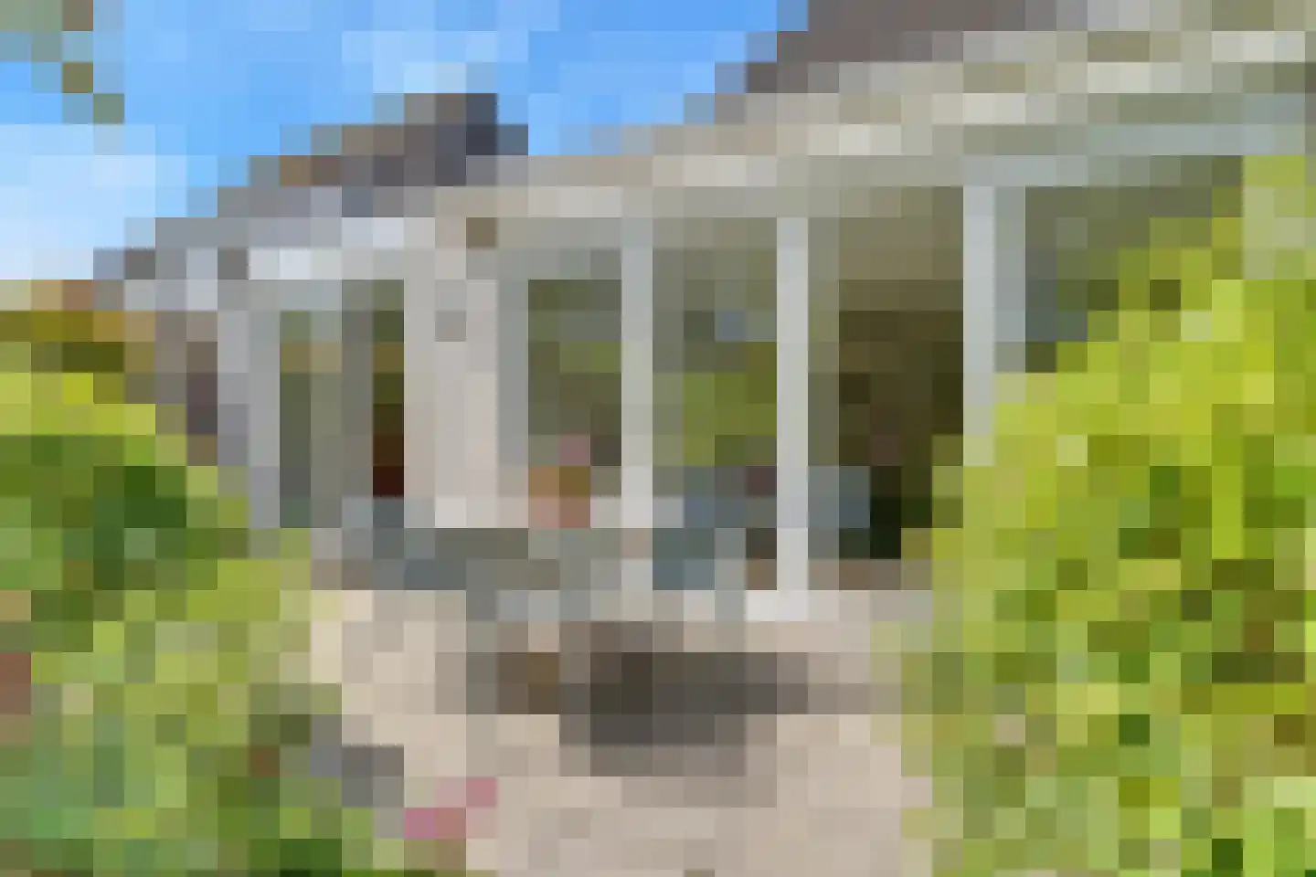 Sloetmarke 71 Zwolle thumbnail 29