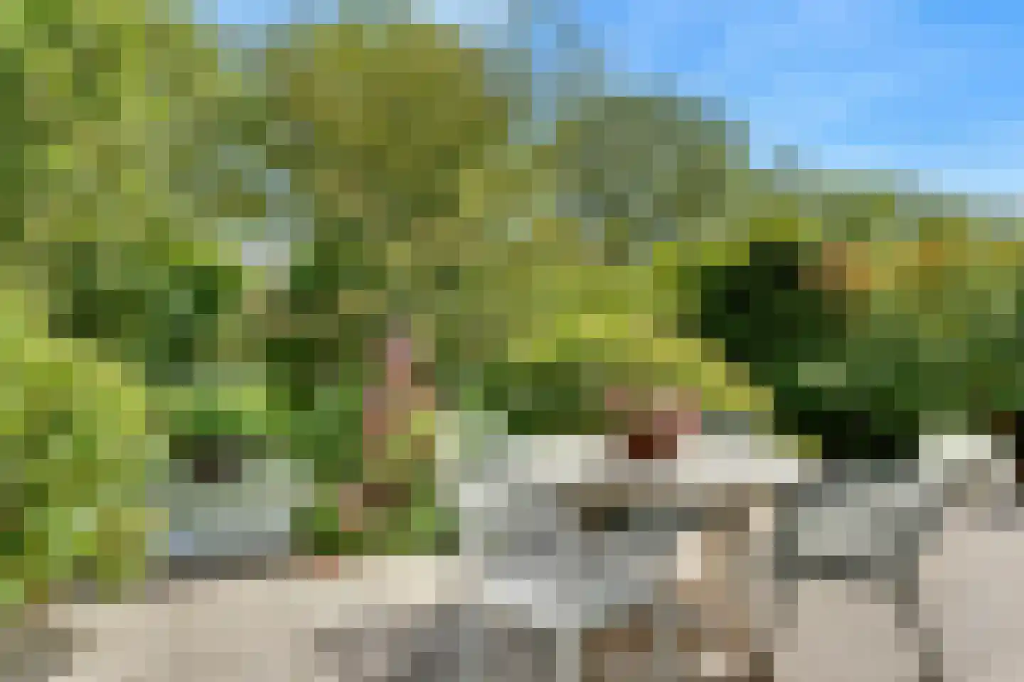 Sloetmarke 71 Zwolle thumbnail 30