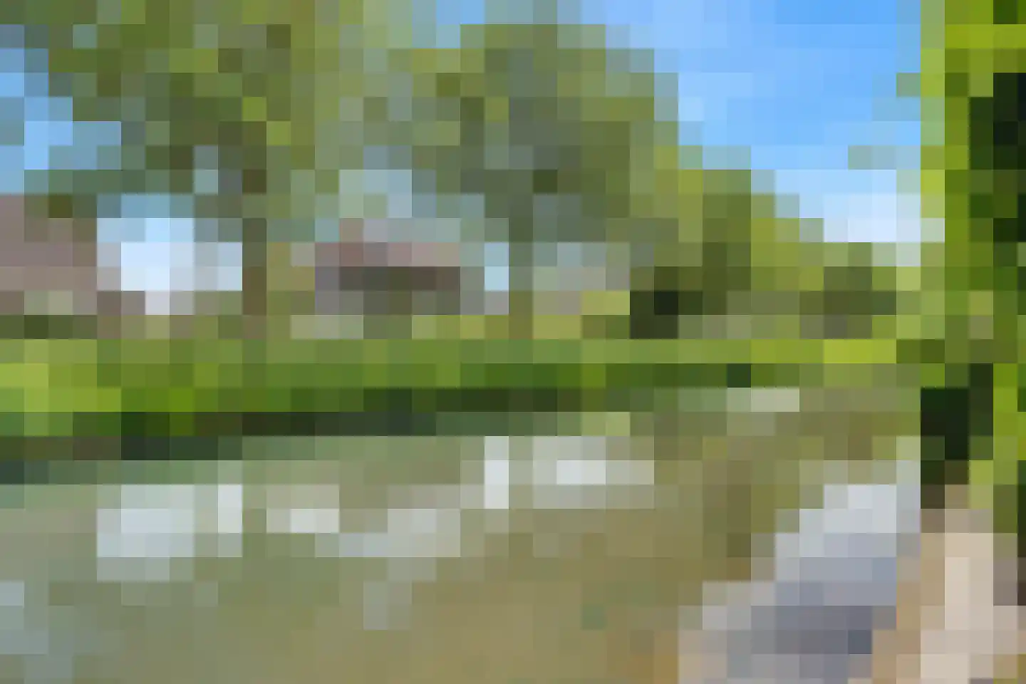 Sloetmarke 71 Zwolle thumbnail 31