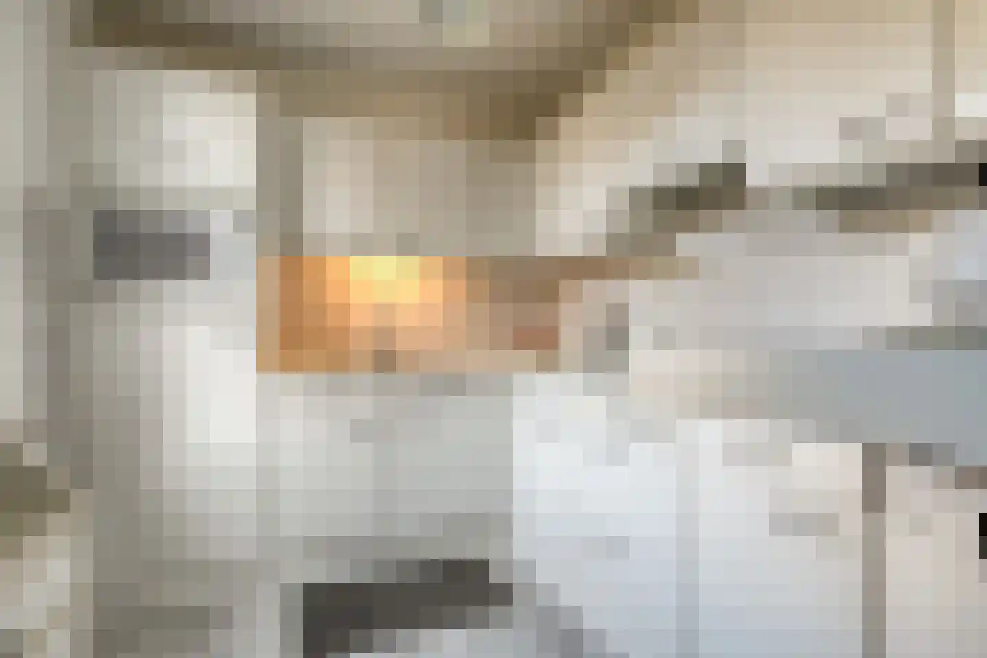 Sloetmarke 73 Zwolle thumbnail 12