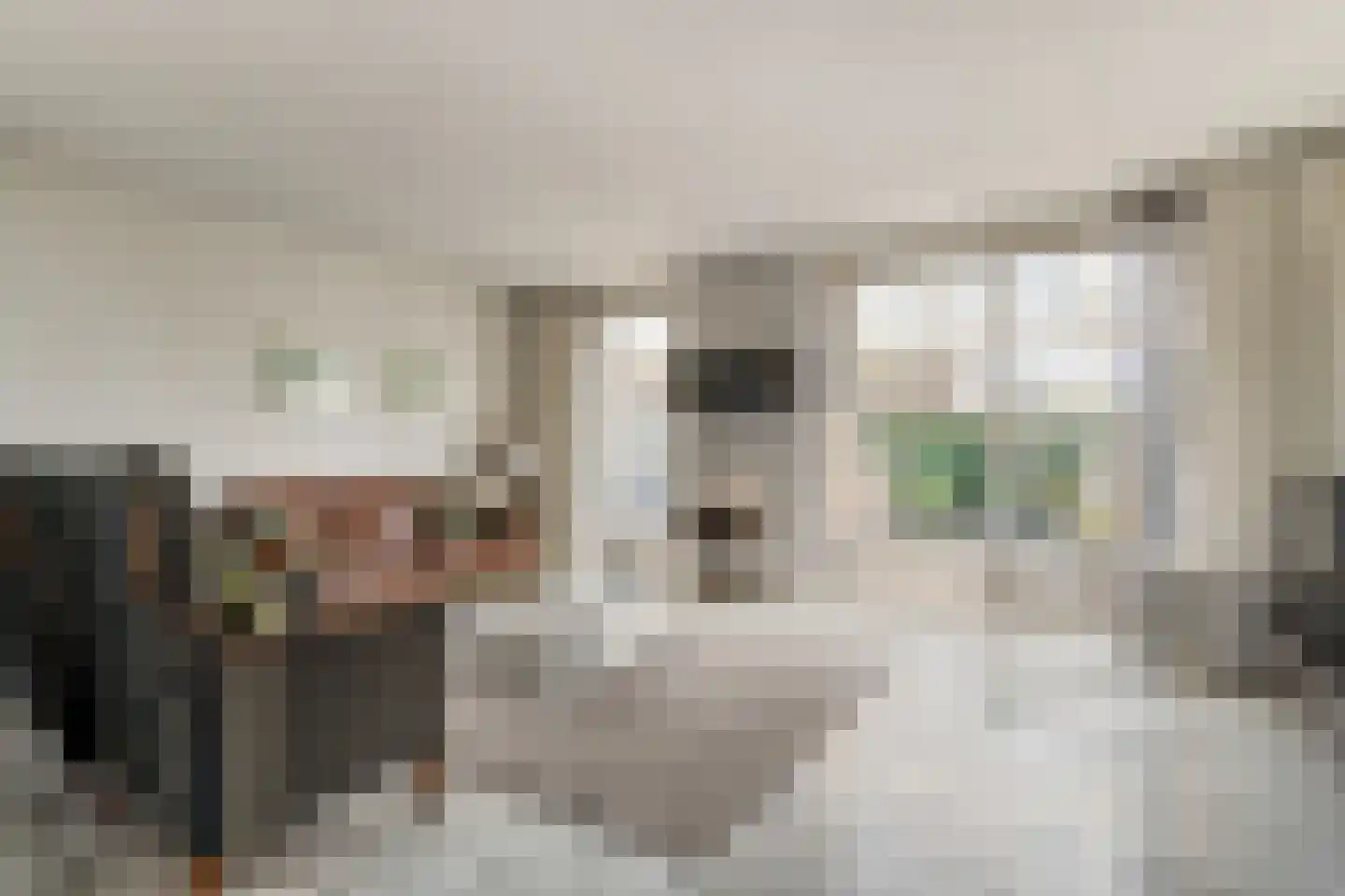Sloetmarke 73 Zwolle thumbnail 14