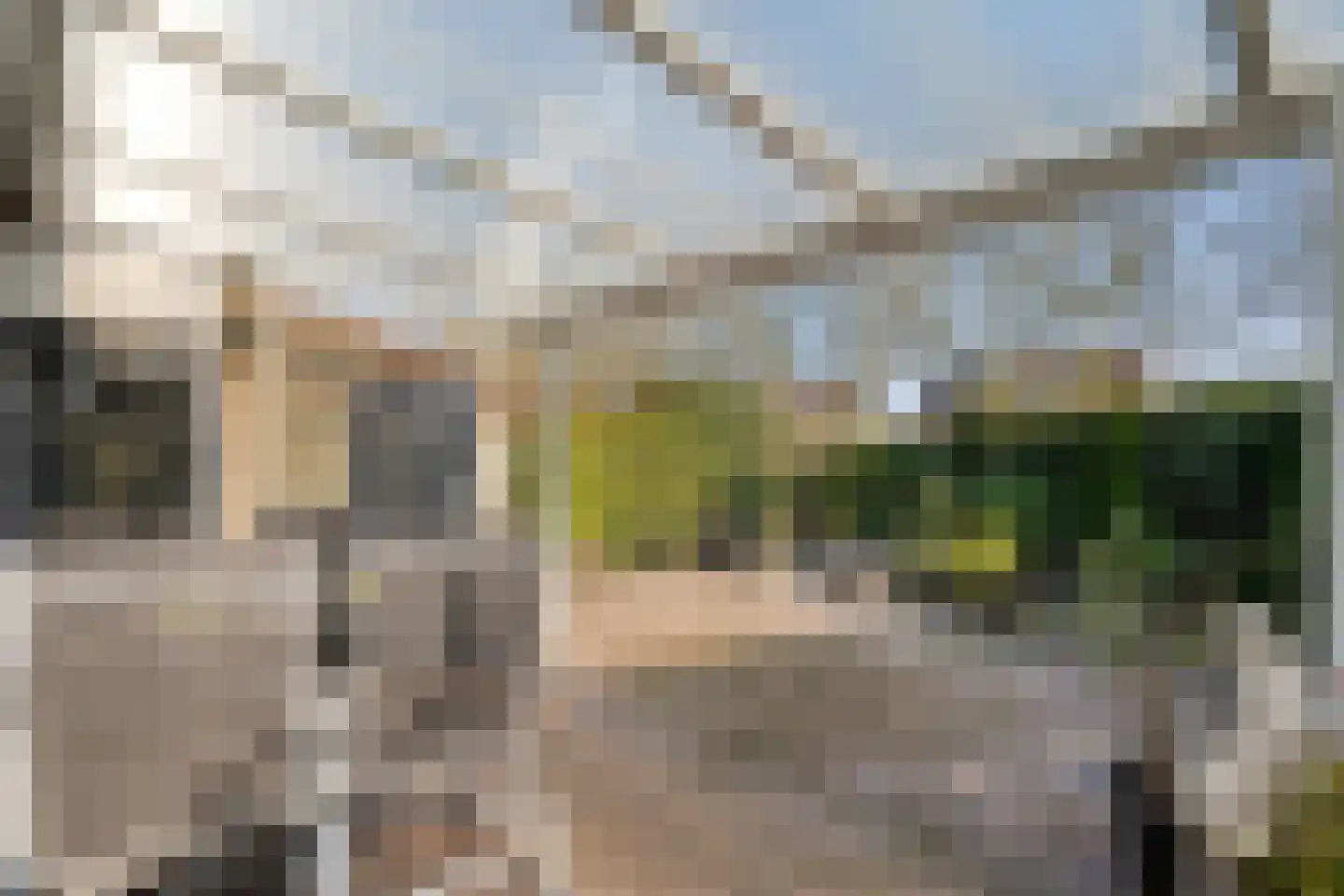 Sloetmarke 73 Zwolle thumbnail 35