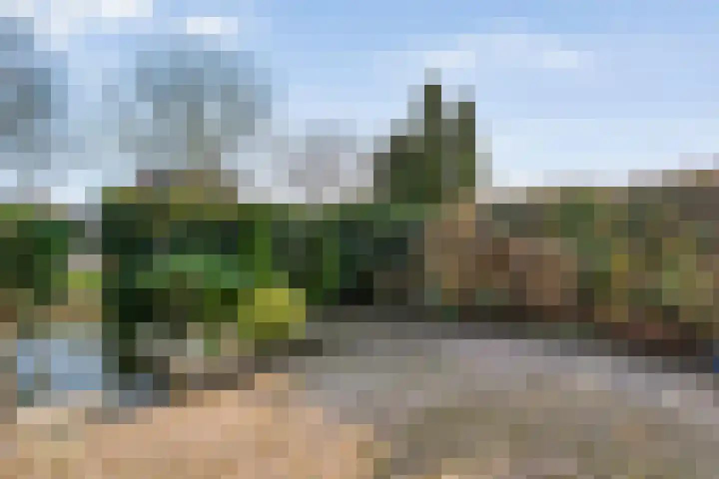 Sloetmarke 73 Zwolle thumbnail 36