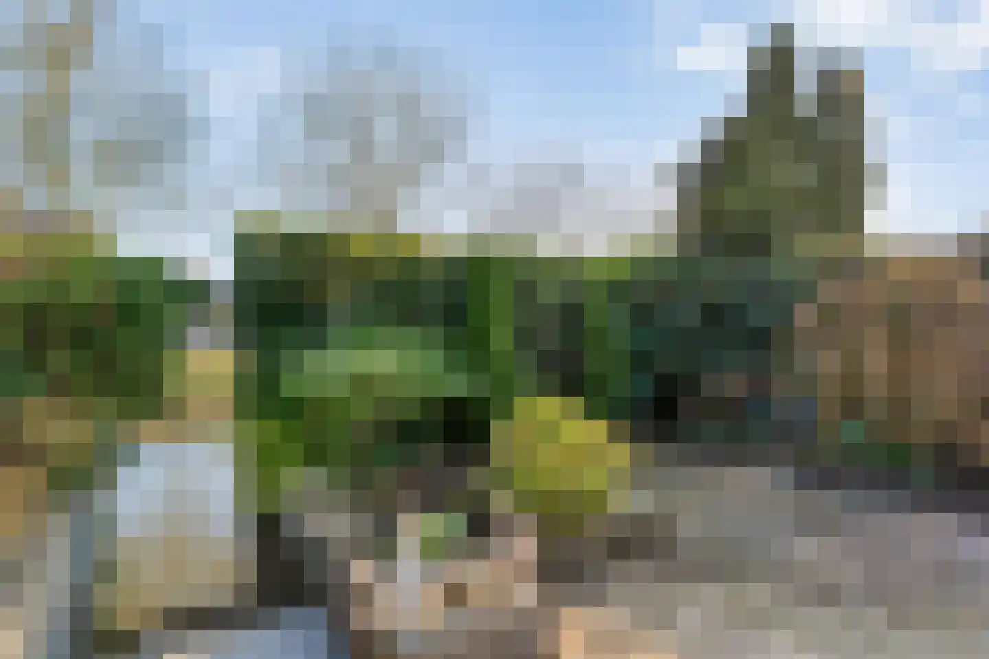 Sloetmarke 73 Zwolle thumbnail 37