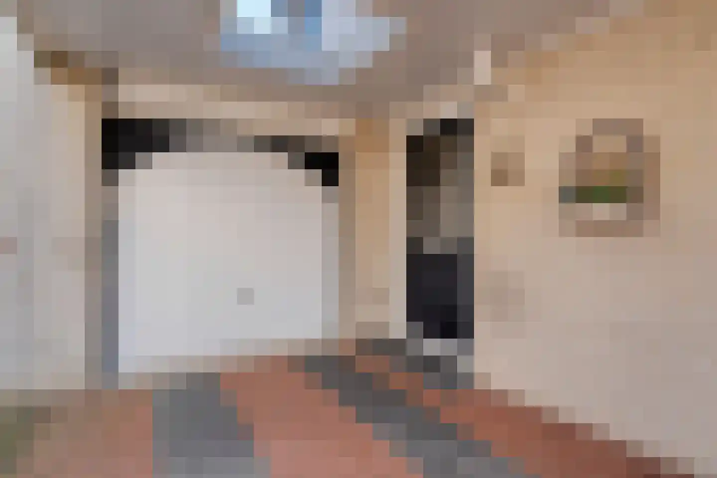 Sloetmarke 73 Zwolle thumbnail 5