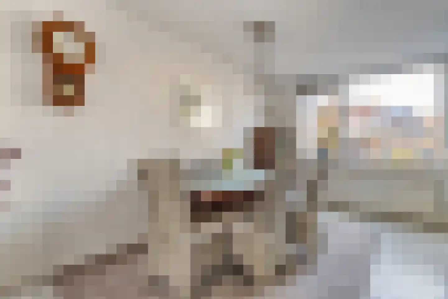 Sloetmarke 73 Zwolle thumbnail 8