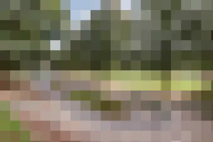 Sloetstraat 18 2 Arnhem thumbnail 23