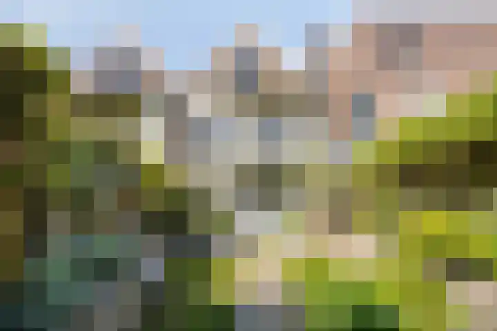 Sloetstraat 21 Arnhem thumbnail 5