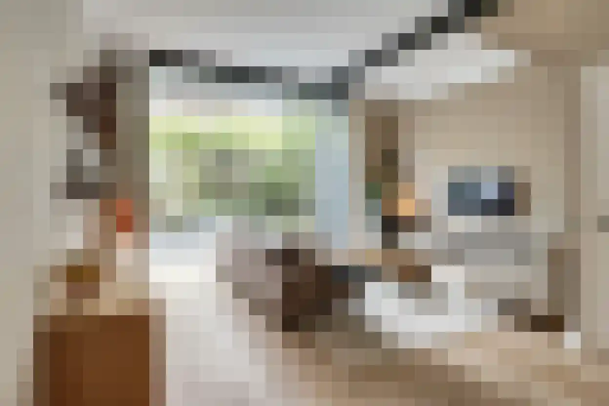 Sloetstraat 33 Arnhem thumbnail 11