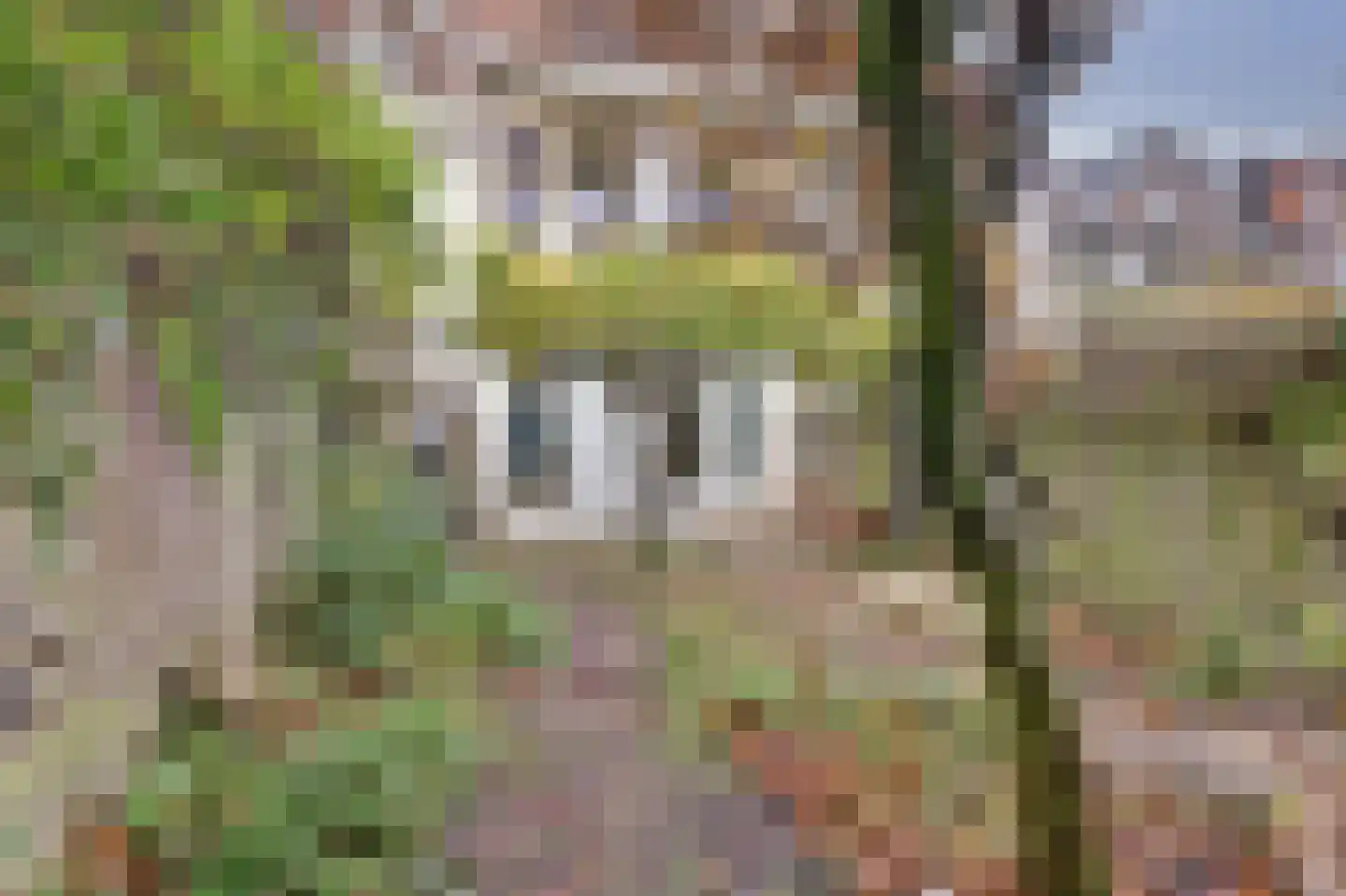 Sloetstraat 33 Arnhem thumbnail 24