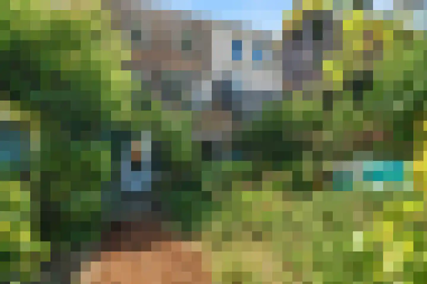 Sloetstraat 38 Arnhem thumbnail 37