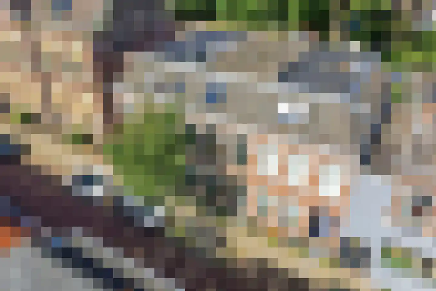 Sloetstraat 38 Arnhem thumbnail 39