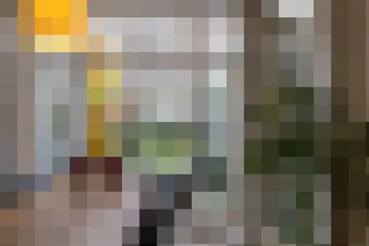 Sloetstraat 41 Arnhem thumbnail 4