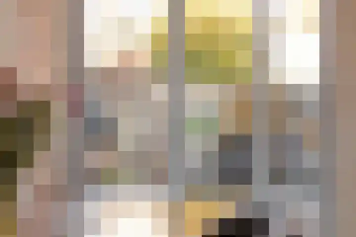 Sloetstraat 41 Zutphen thumbnail 8