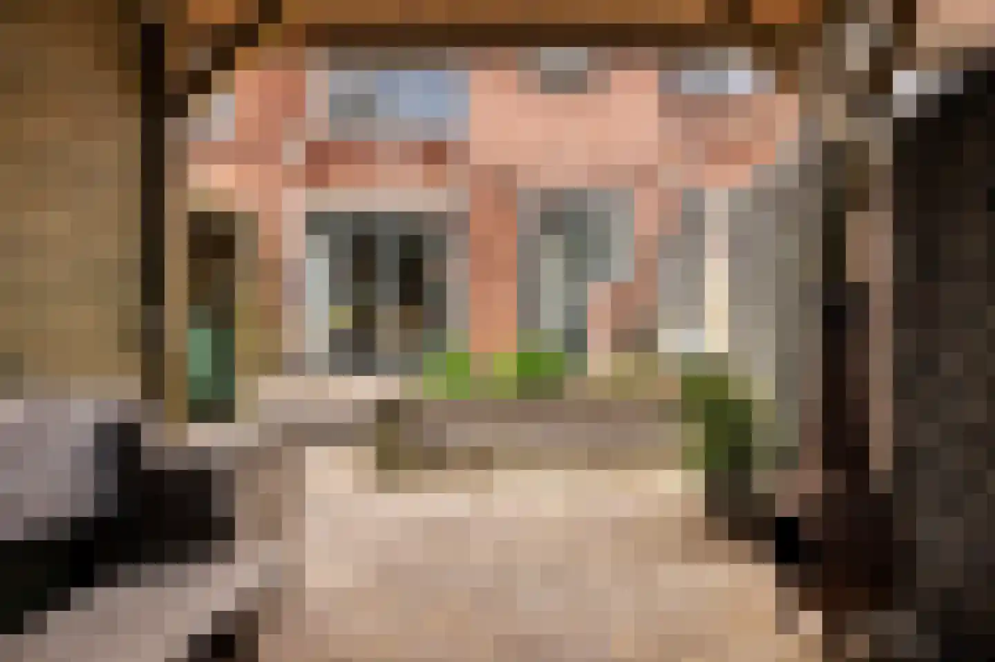 Sloetstraat 47 Zutphen thumbnail 33