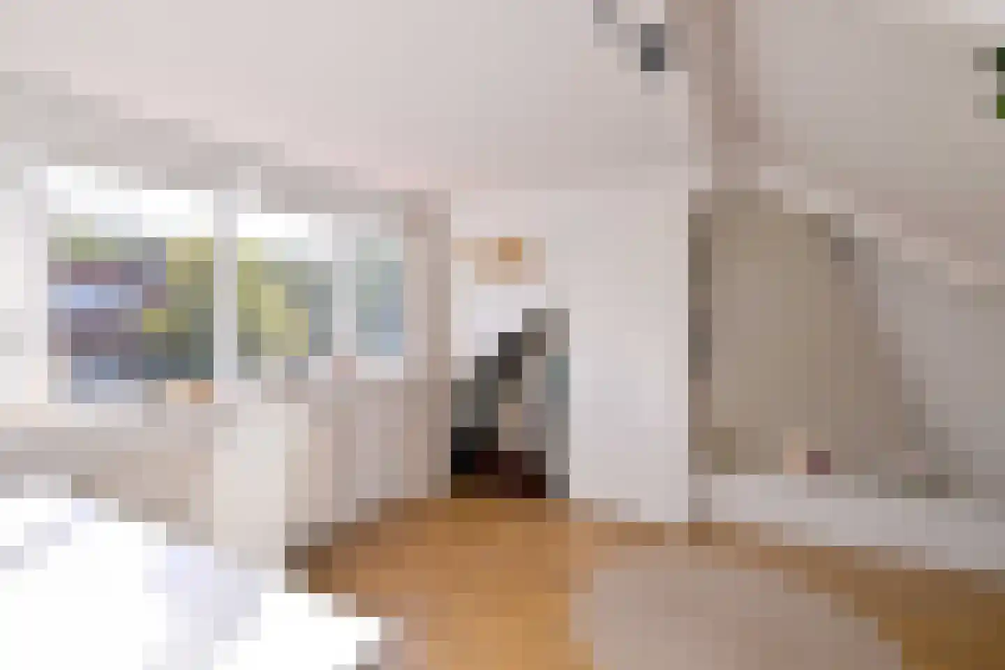 Sloetstraat 63 Zutphen thumbnail 31
