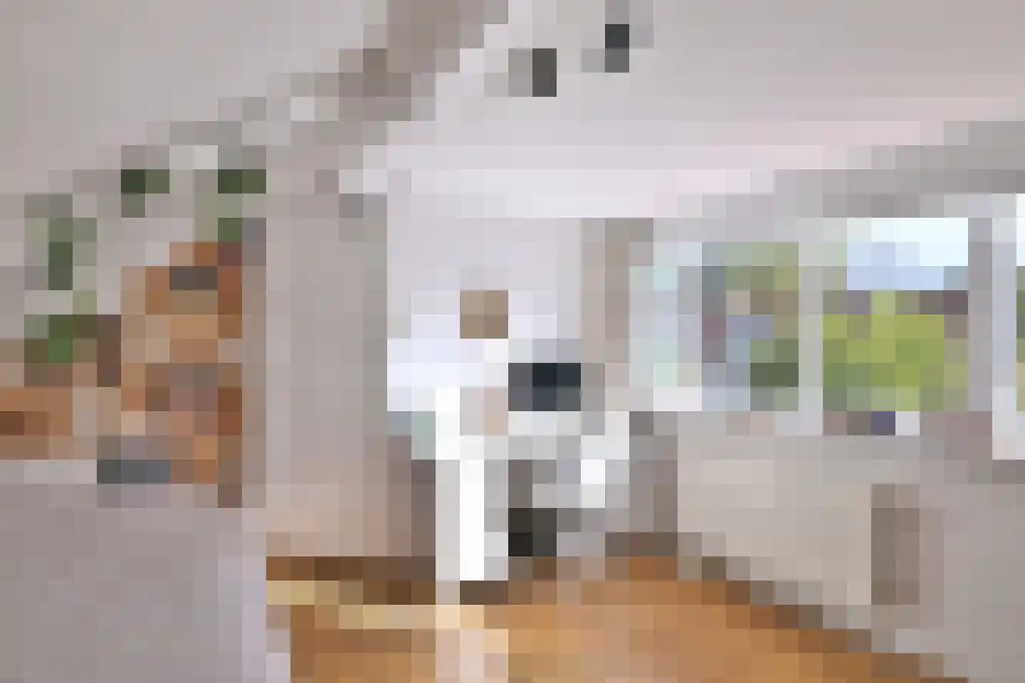 Sloetstraat 63 Zutphen thumbnail 33