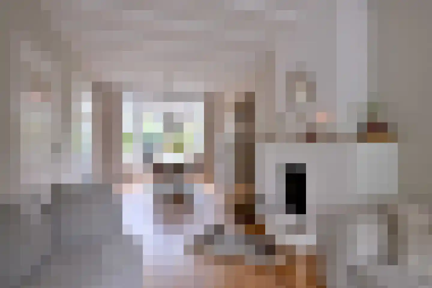 Sloetstraat 63 Zutphen thumbnail 8